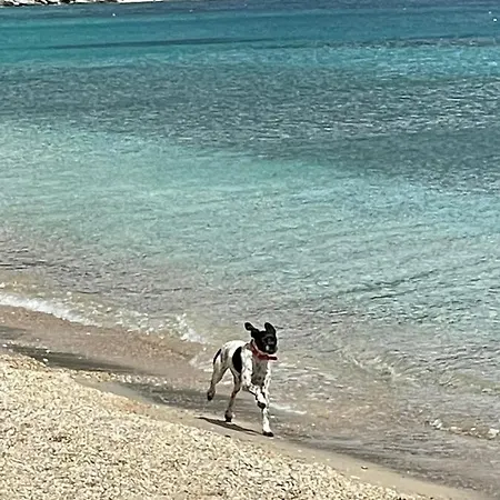 アパート Aqua Seaview *