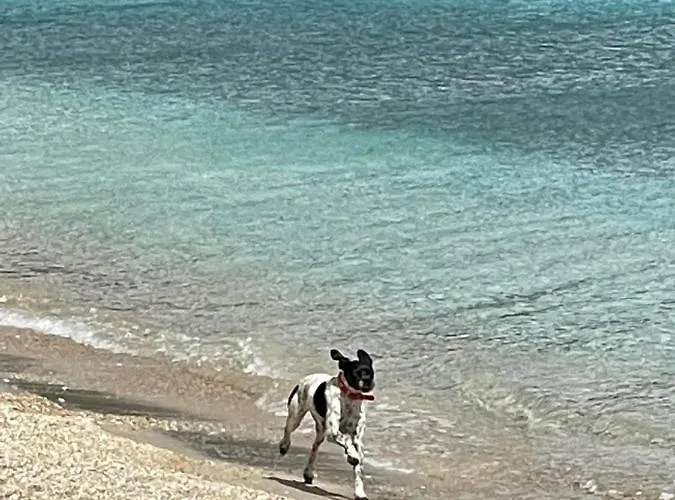 Appartamento Aqua Seaview *